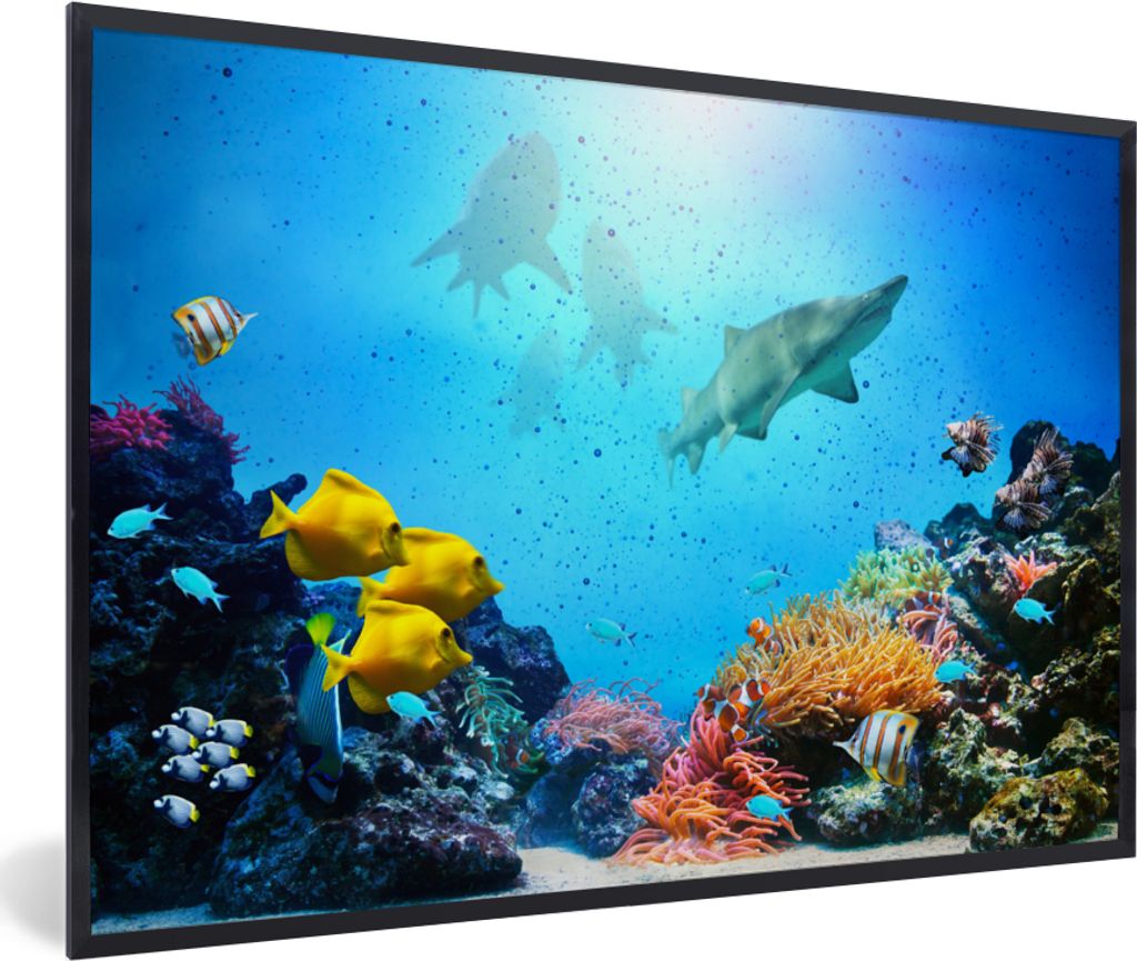 MuchoWow MuchoWow Gerahmtes Poster Meer - Fische - Korallen 90x60 cm - Poster mit zchwarzem Bilderrahmen - Fotorahmen - Foto-Plakat