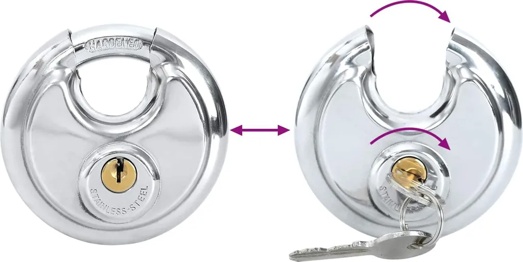 Lucchetto a Disco vidaXL Inox Argentato - Sicurezza Esterna Professionale - 8