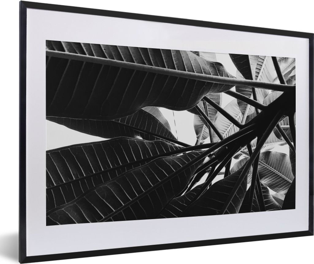 MuchoWow Gerahmtes Poster Palmenblatt - Tropisch 60x40 cm - Poster mit Schwarzem Bilderrahmen Wandposter Rahmen Foto Bilder - Schlafzimmer - Plak...