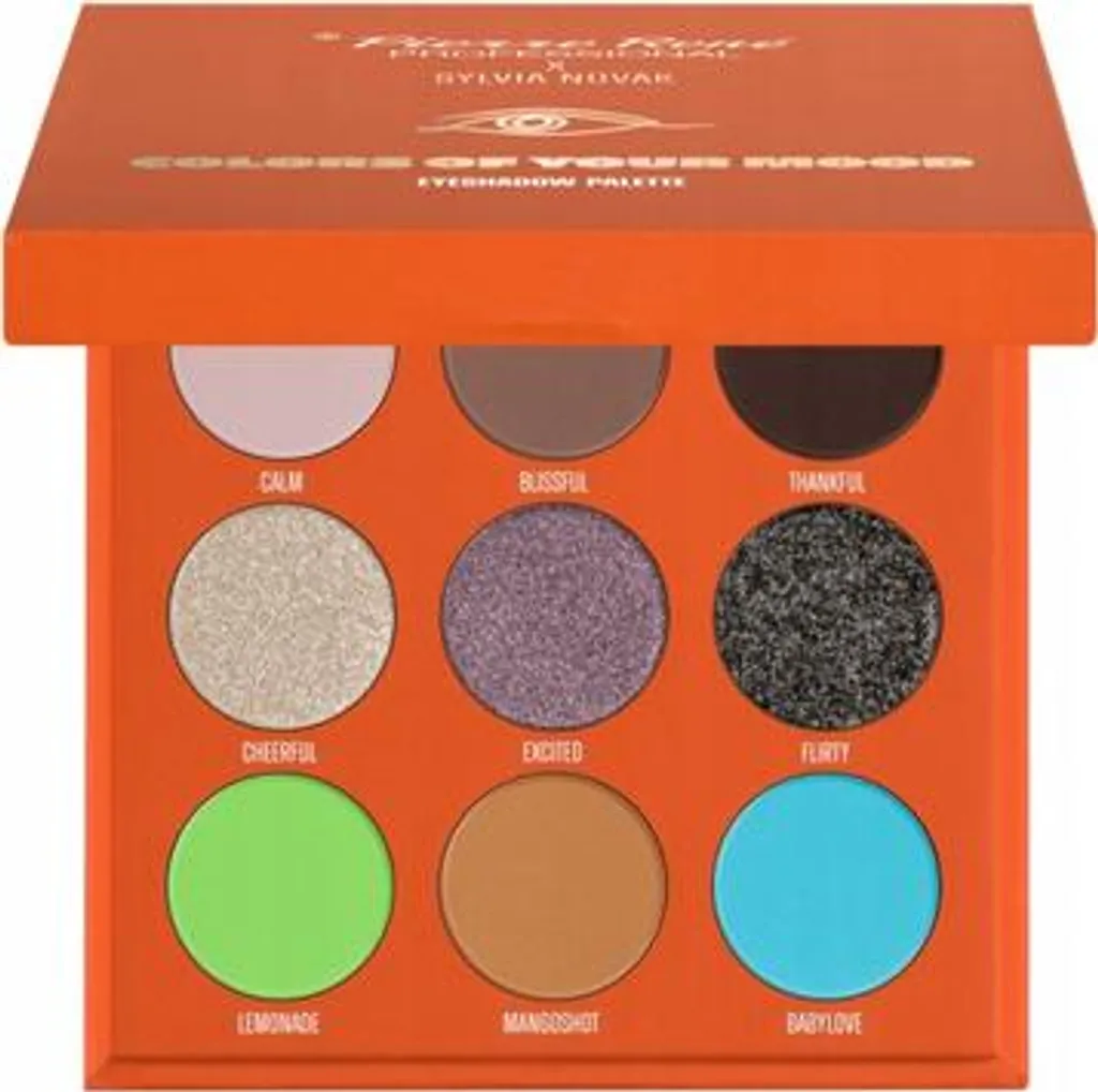 Pierre René Sylvia Novak Palette d'ombres à paupières 9 x 1,3 g Intense