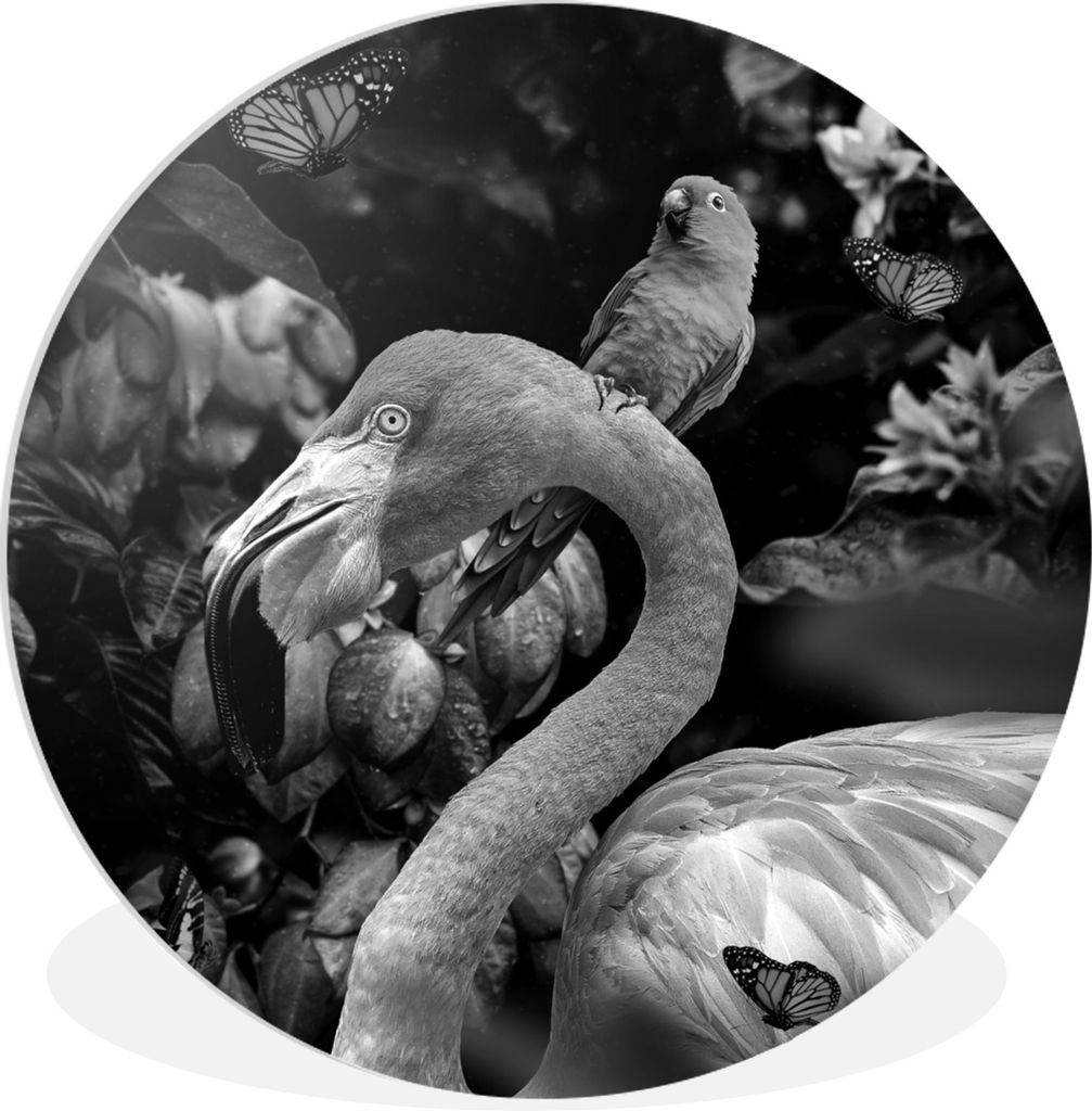 MuchoWow Rundes Wandbild - Runde Bilder Flamingo - Dschungel - Papagei - Schwarz - Weiß Ø 30 cm Kreis Wanddekoration Kunststoff - Wandkreis - W...