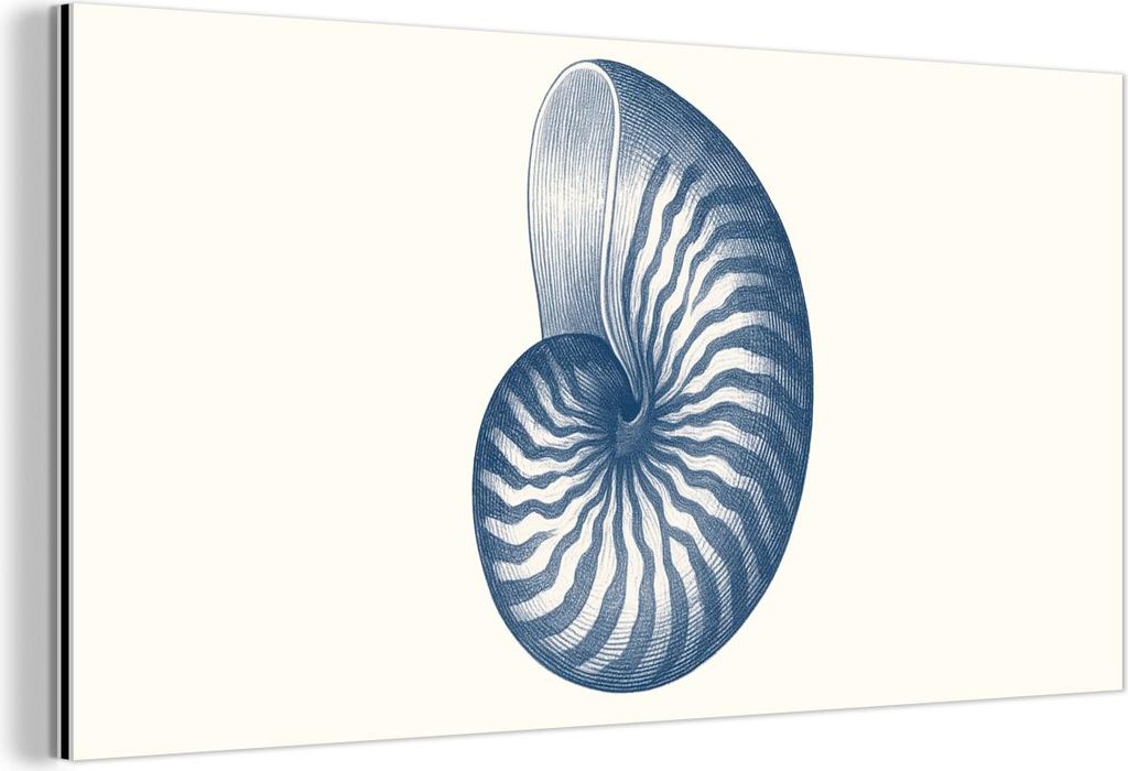 MuchoWow Wanddekoration Metall Metallbild Wandkunst 80x40 cm Blau - Muschel - Spirale MuchoWow Aluminium Gemälde - Wanddekoration - Alubild
