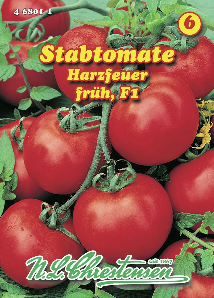 Stabtomate Harzfeuer F1 | Stabtomatensamen von N.L. Chrestensen