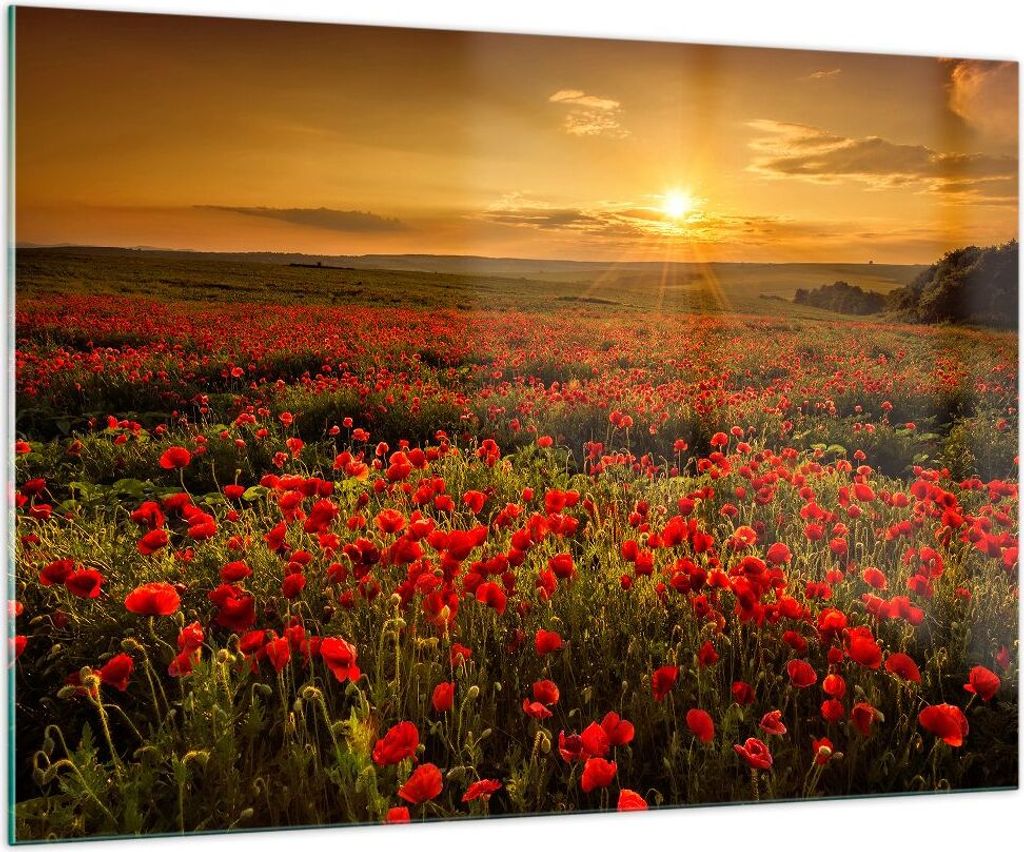 Bilder auf glas - Mohn Blume Wiese - 100x70cm - Glasbilder - Wandbilder - Kunstdruck - zum Aufhängen bereit - Wanddekoration aus Glas - Glas Bilde...