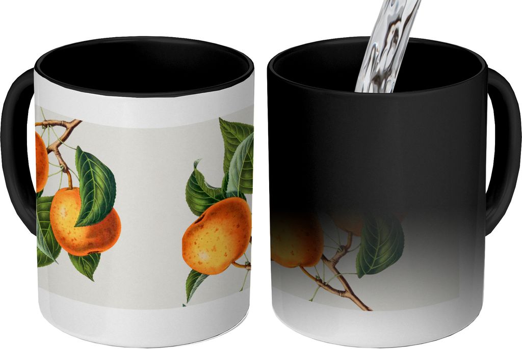 MuchoWow Zauber Tasse Zaubertasse Magic Orange - Blätter - Früchte 350 ml Farbwechsel Becher Geschenk Geschenkidee - Magic-Tasse - Fototasse - ...