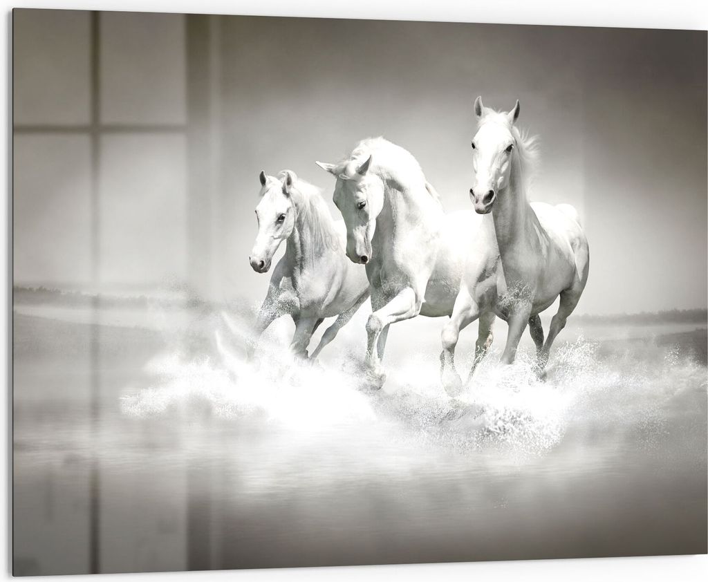 DEQORI Küchenrückwand Glas 80x60 cm 'Weiße Araber im Wasser' Spritzschutz Bad Rückwand