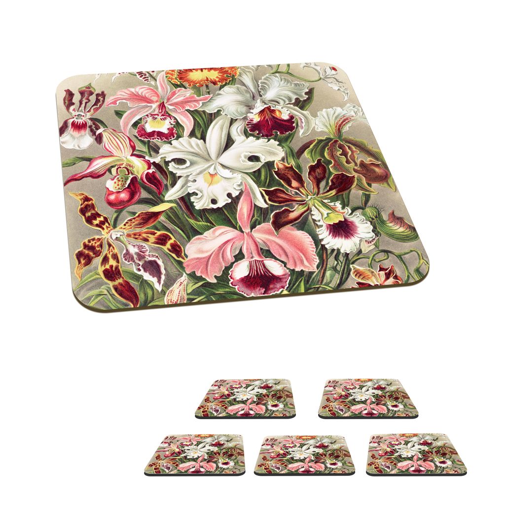 KitchenYeah Glasuntersetzer Quadratisch 6er Set Blumen - Ernst Haeckel - Jahrgang - Orchidee 10x10 cm Untersetzer für Gläser - Getränkeunterse...