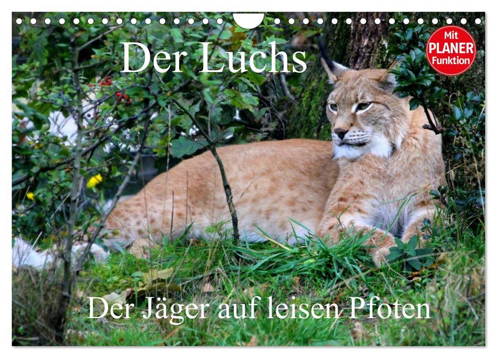 Der Luchs - Der Jäger auf leisen Pfoten (Wandkalender 2027 DIN A4 quer), CALVENDO Monatskalender