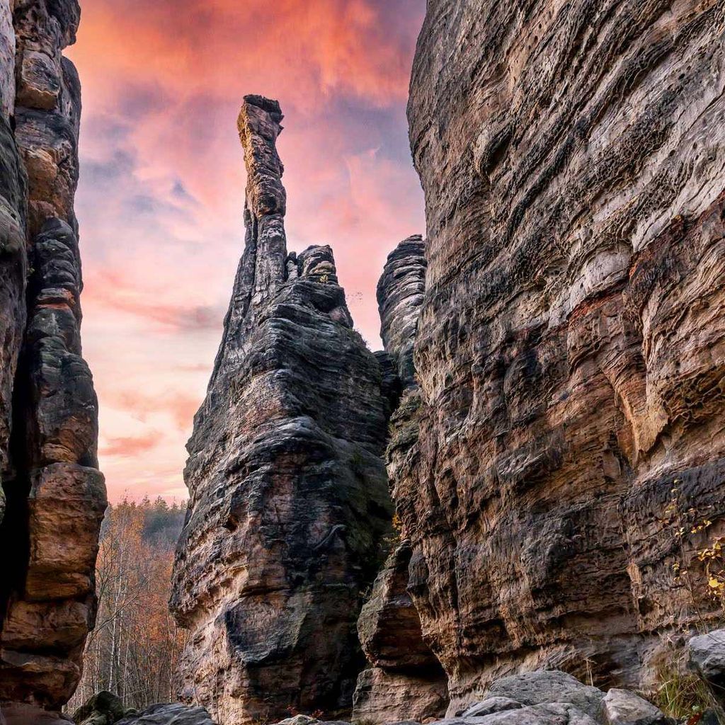 Fototapete 363401 Tapete Blumen Floral 212 x 265 cm Rasch Magic Walls Braun Rot