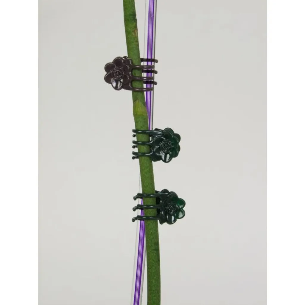 Attache pour plantes tombantes et support de fleurs anti-casse