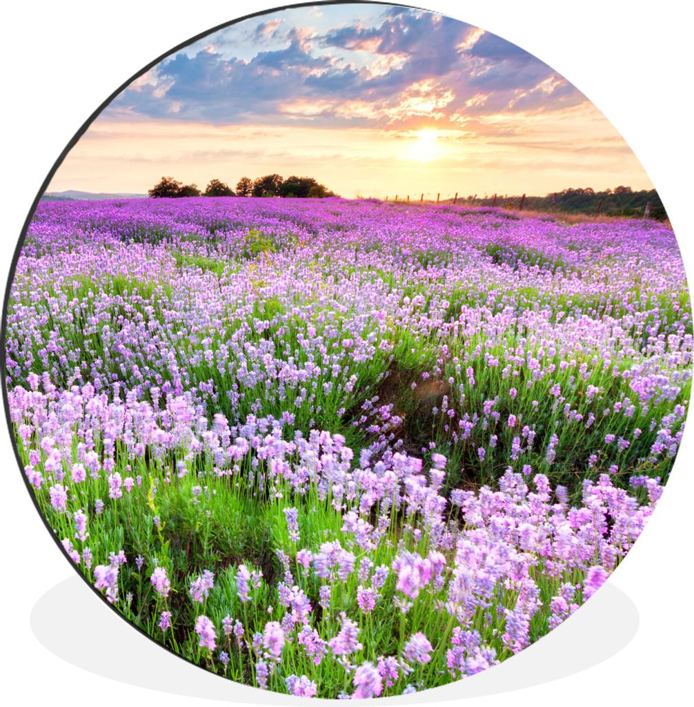 MuchoWow Aluminium Wandkreis Lavendel - Blumen - Sonnenuntergang - Lila - Wiese Ø 60 cm Wanddeko Modern Wohnzimmer - Wand Kreis - Wandbild - Sch...