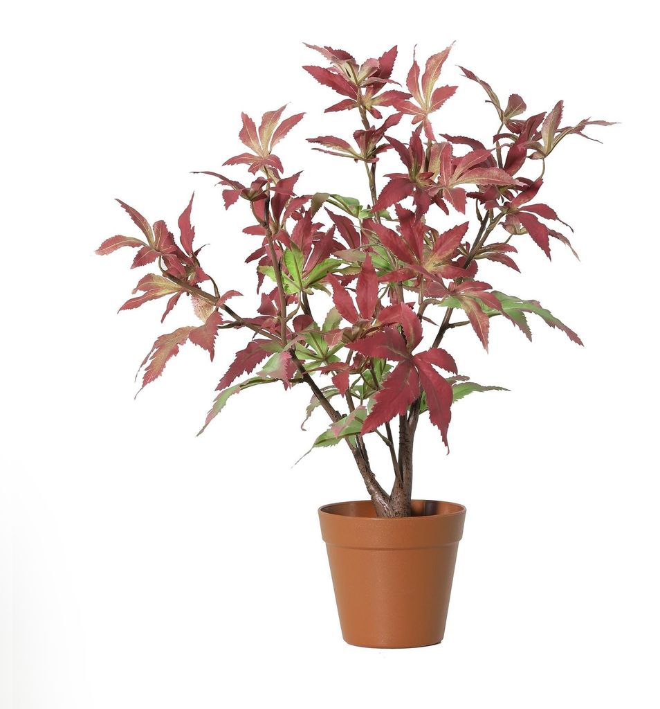 Künstlicher Ahorn Maple 53cm im Topf – realistische Kunstpflanze mit Ahornblatt-Optik – pflegefreie Zimmerdeko für Regal, Fensterbank & Schre...