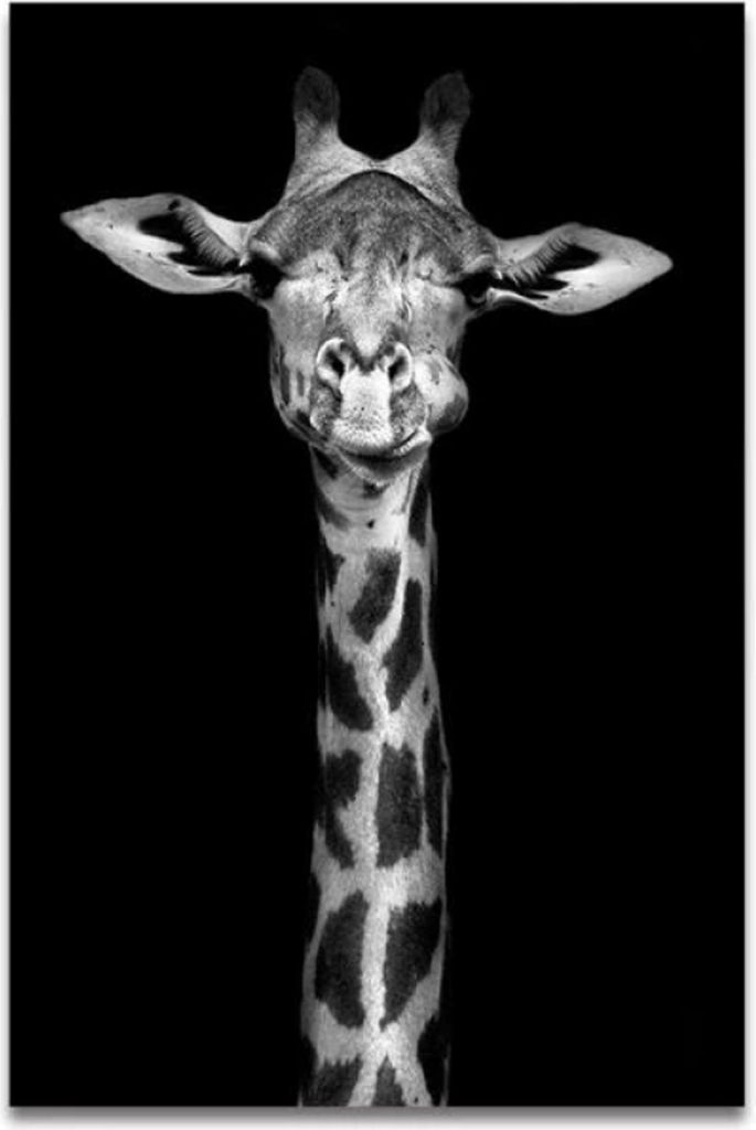 TPFLiving Kunstdruck LW-33 (OHNE RAHMEN) Poster - Leinwand - Wandbild - Hochauflösender Giclée-Druck, langlebig und hochwertig - Tierwelt Afrikas...