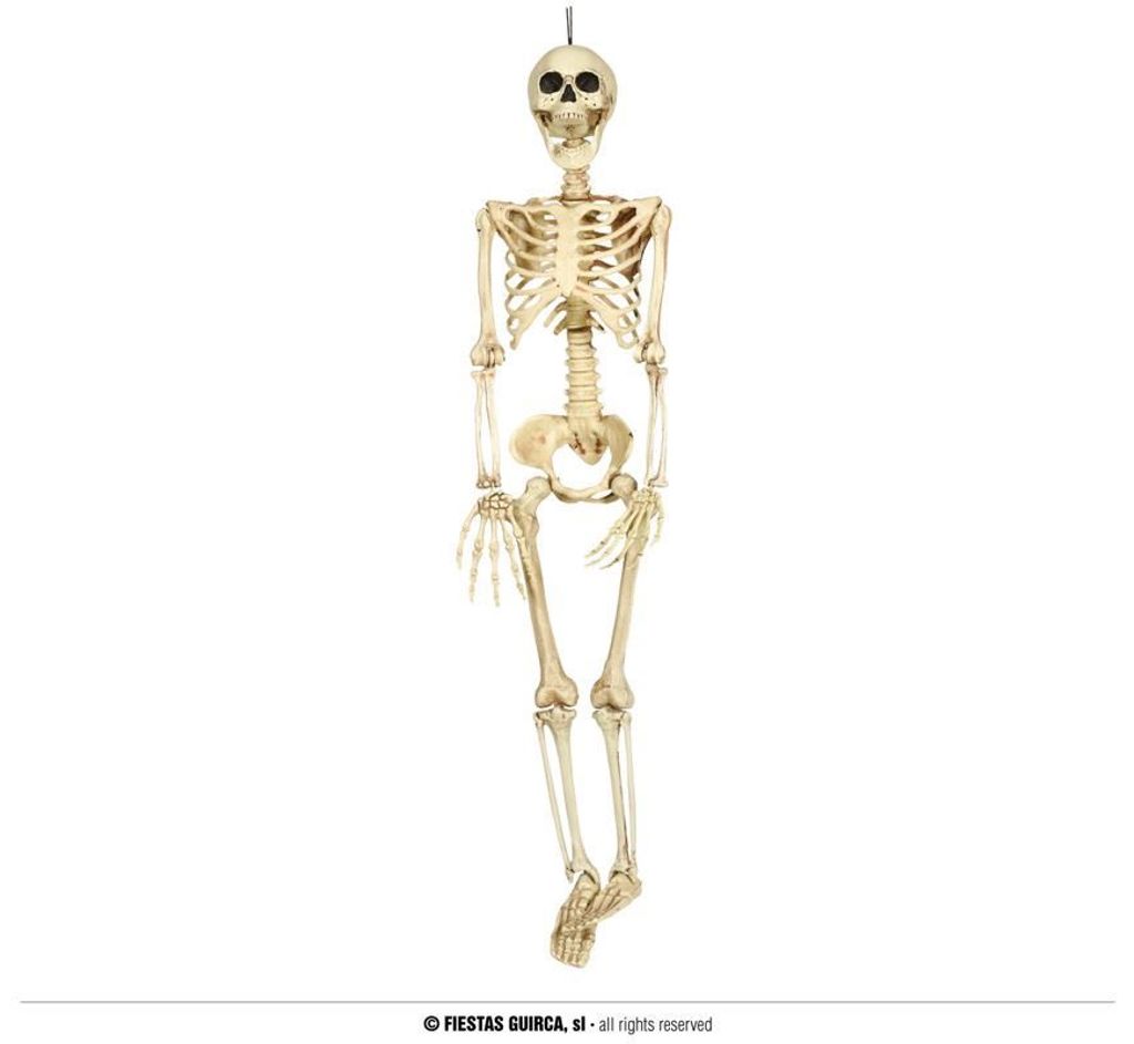 Kostra - kostra na zavesenie - HALLOWEEN - 90 cm Obrázok produktu 