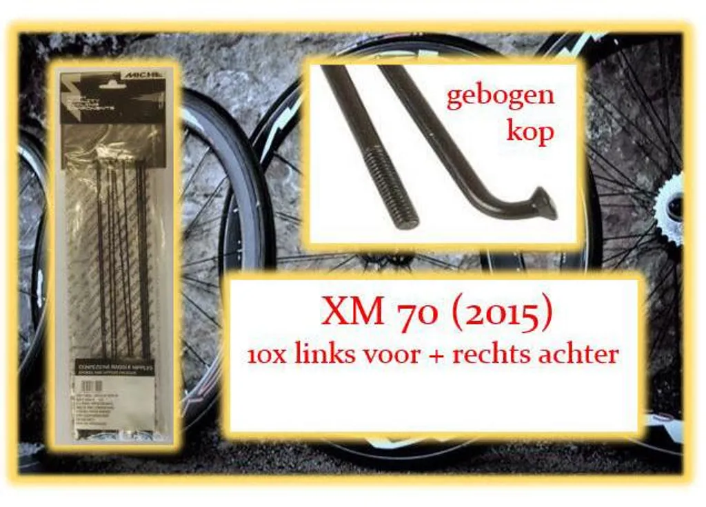 Kit de 10 Rayons avec Écrous Miche pour Roues XM 70 série 2015 LV RA
