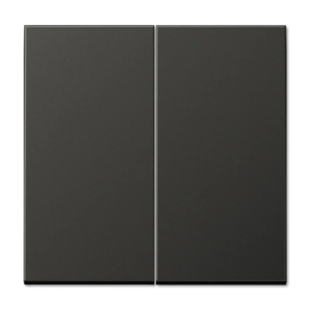 Rénovation Électrique : Jung AL 2995 AN Interrupteur Anthracite Durable