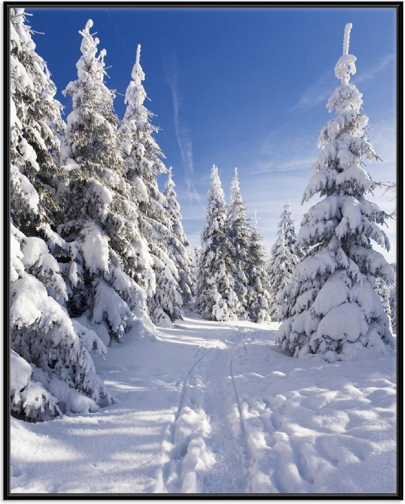 Wallario Wandbild Wanderweg im Schnee, Größe: 40,30 x 50,30 cm, Poster mit schwarzem Aluminiumrahmen