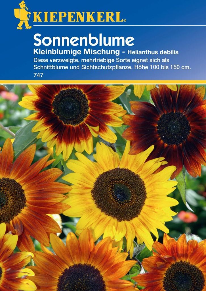 Kiepenkerl Sonnenblumensamen Kleinblumige Mischung