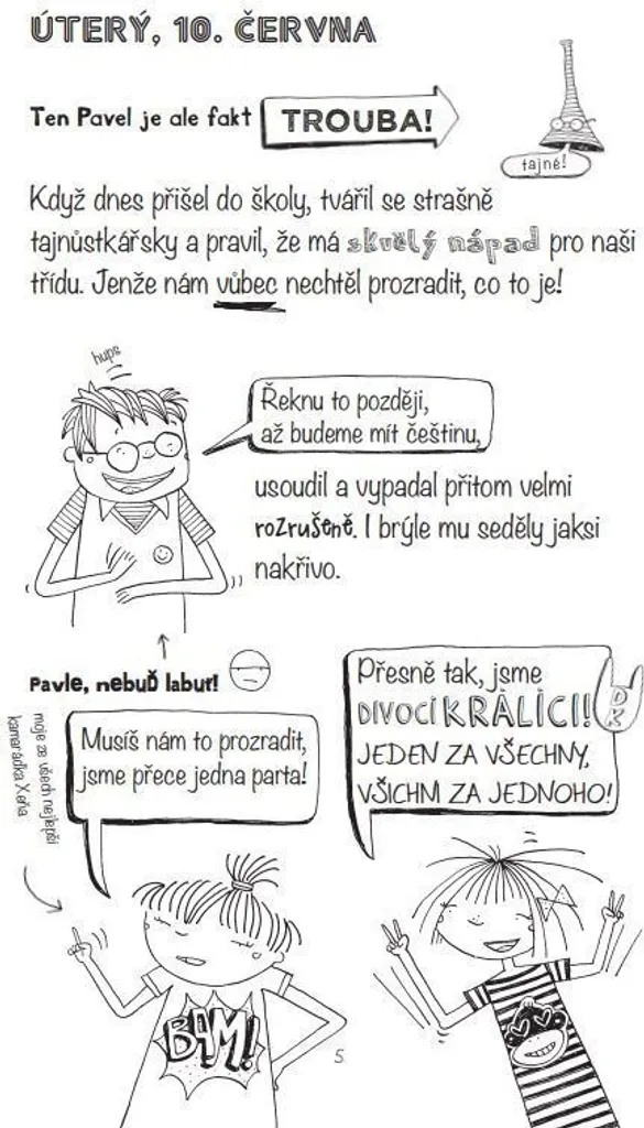 Roman illustré enfant Ma Vie de Lotta Tome 5 par Alice Pantermüller