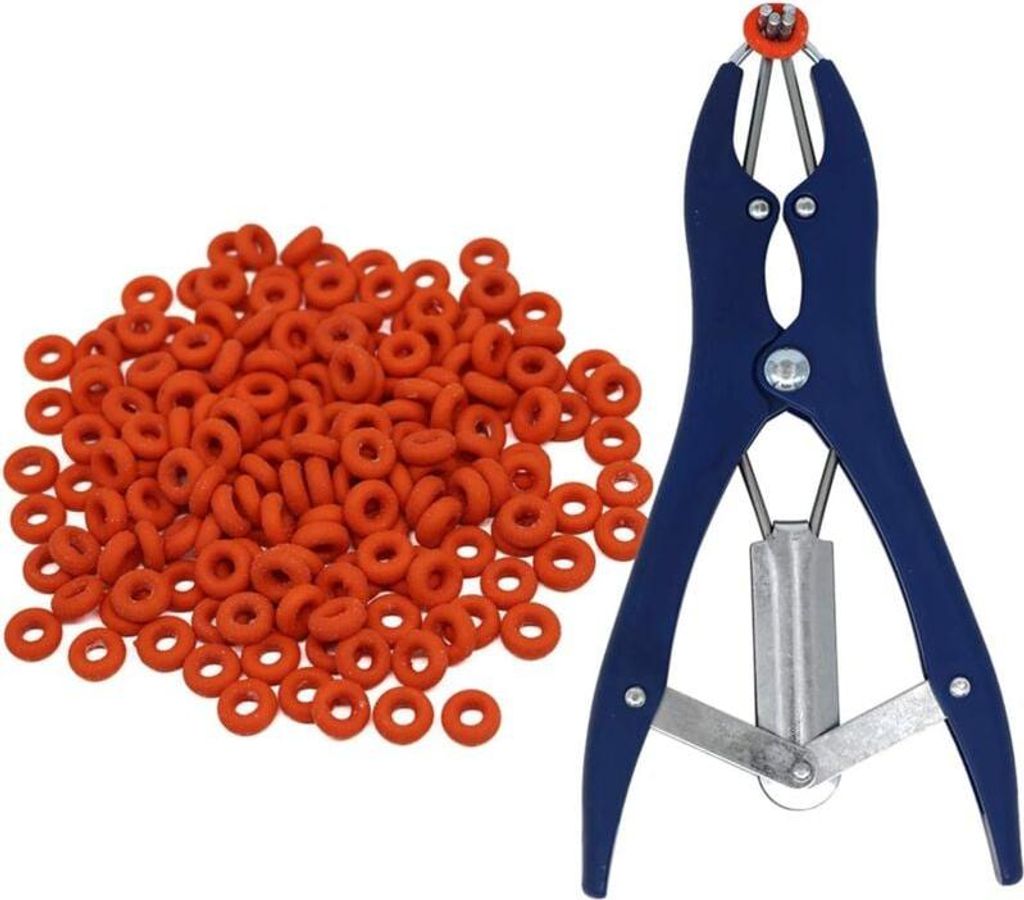 Elastische Kastrationszange aus Edelstahl für Rinder, Schweine, Schafe, Gürtel, 100 Gummiringe, 21,5 cm, Blau