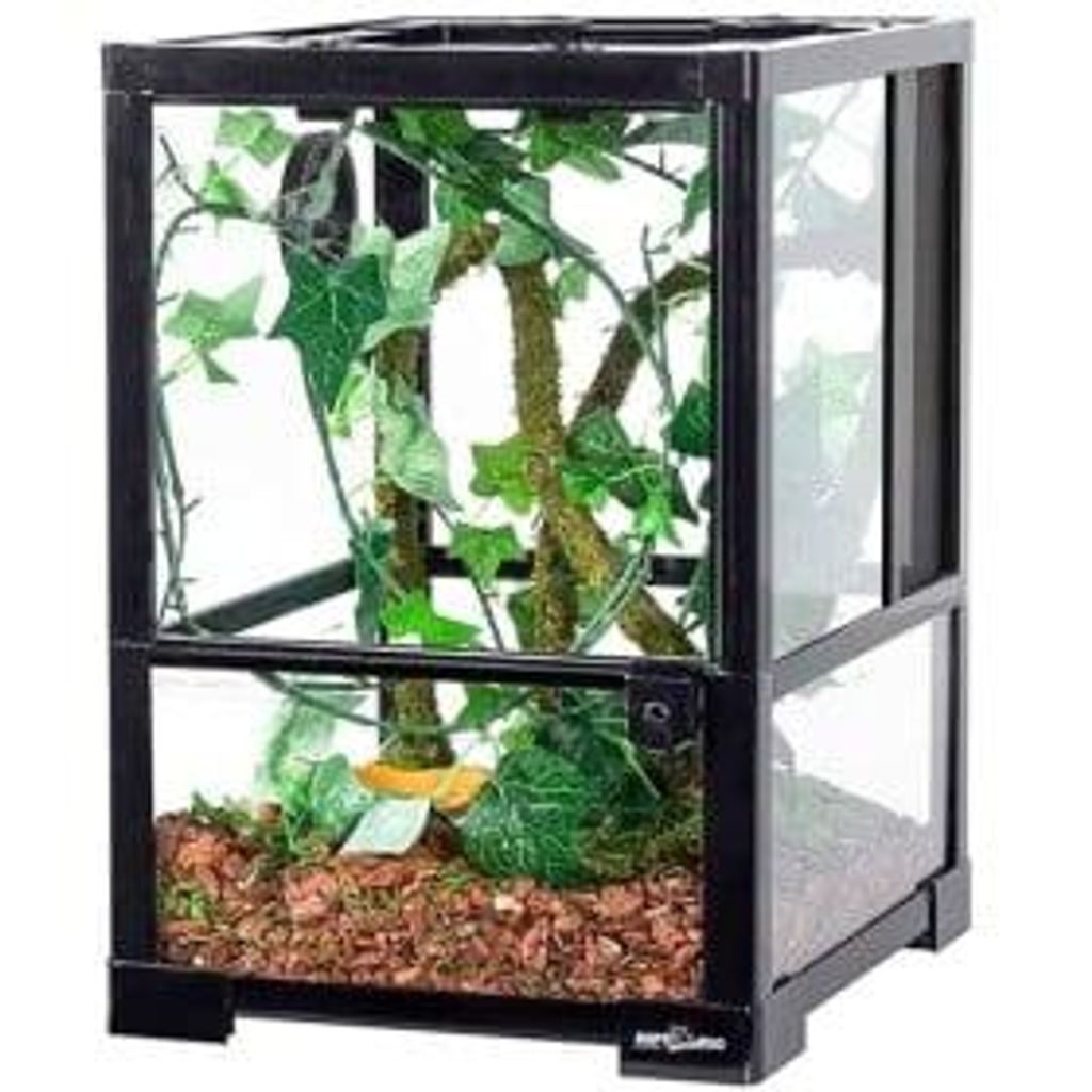 A reptile terrarium with artificial plants and substrate.