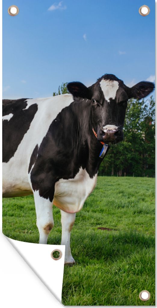MuchoWow 80x160 cm Outdoor-Poster Gartendeko Sichtschutz Garten Poster für den Garten Kuh - Schwarz - Weiß - Niederlande