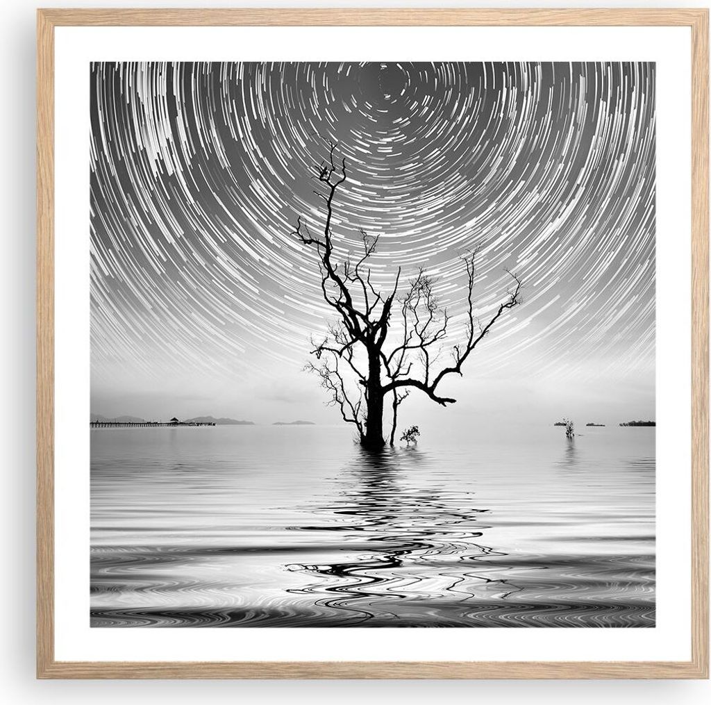 Gerahmtes Poster - Rahmen in heller Eiche - Schwarzweiß Baum See - 60x60 cm - Wand Bild - Wanddeko - Wandbilder - Wandposter - Bilderrahmen - Bild...