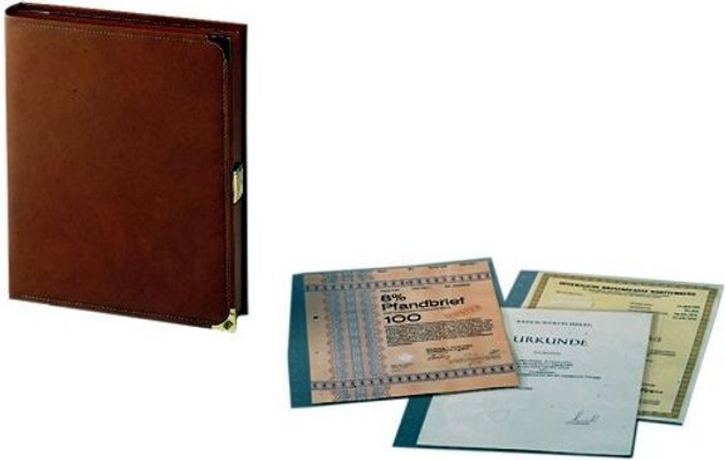 SAFE 445 Dokumenten-Kassette DIN A4