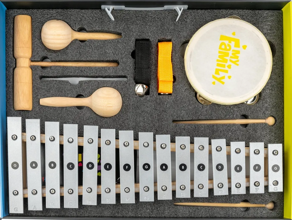 Instruments de percussion pour enfants Noicetone P022-1 en bois et métal