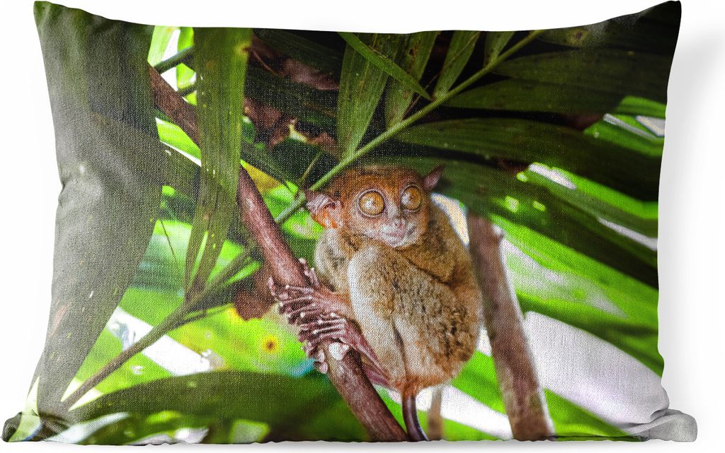 MuchoWow Outdoor Kissen - Philippinischer Geist zwischen den grünen Blättern - 60x40 cm - Wetterfest - Lounge Kissen - Zierkissen - Kissen für...