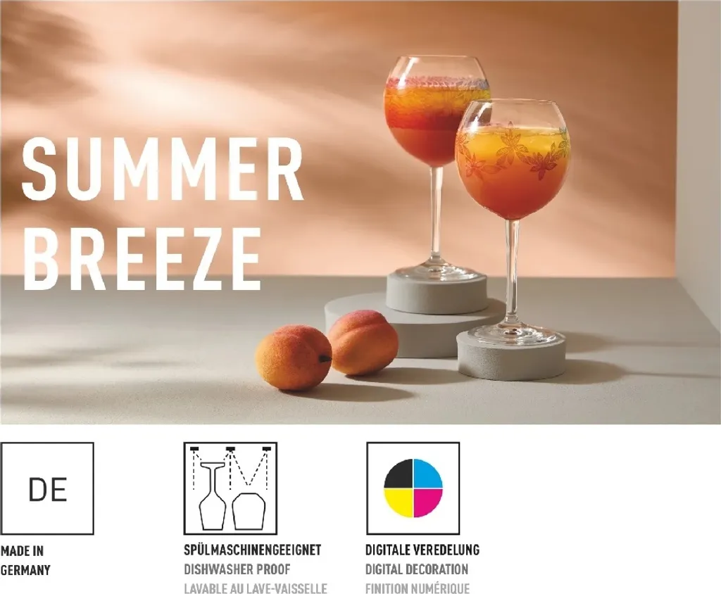RITZENHOFF 2842001 Universal Glass Set of 2 500 ml Summer Rausch Allround No. 1 + 2 with Illustrations Colourful – Made in Germany