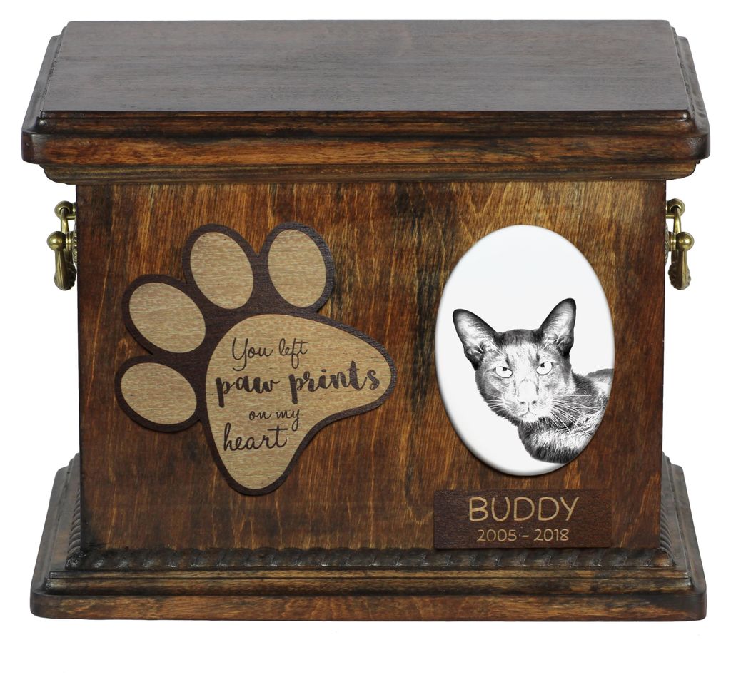 Havanna braun Katze - Eine Urne für die Asche einer Katze, eine Urne für eine Katze mit Foto, eine personalisierte Katzenasche-Box der Marke Art-...