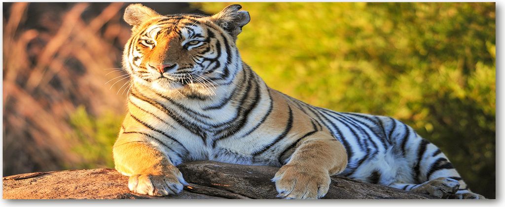 Tulup Glas-Bild Wandbild aus Glas - 125x50 - Wandkunst - Wandbild hinter gehärtetem Sicherheitsglas - Dekorative Wand für Küche & Wohnzimmer ...