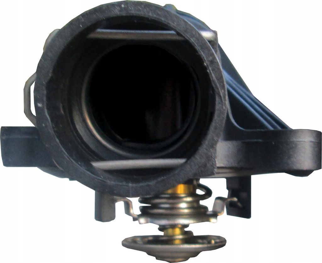 Thermostat im Gehäuse BMW WRC Serie 5000043