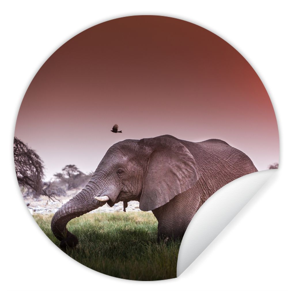 MuchoWow Runde Wandtattoo - Wandsticker Tapete Aufkleber Roter Sonnenuntergang über einem Elefanten im Gras Ø 80 cm Selbstklebend und Repositio...