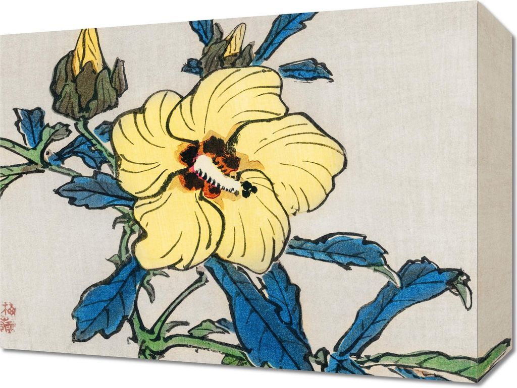 Bild 40x30cm Hibiskus, Kōno Bairei Japanischer Vintage für das Wohnzimmer