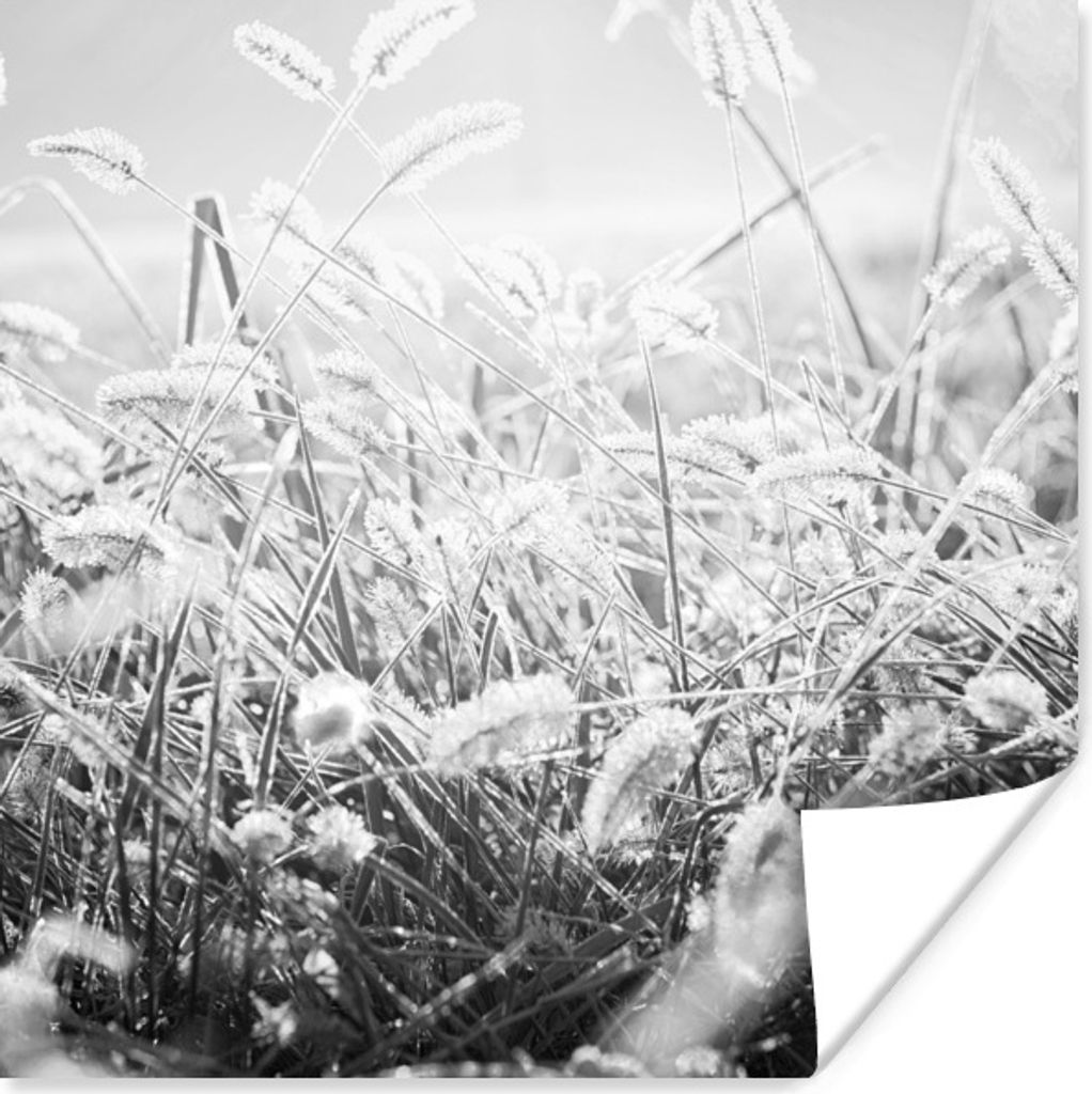 MuchoWow Poster Winter - Schwarz - Weiß - Eis 30x30 cm - Wandposter - Printing