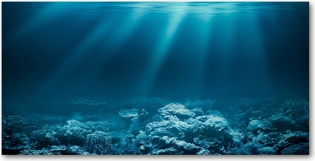 Tulup Leinwandbild -100x50 cm - Wandkunst - Drucke auf Leinwand - Leinwanddruck - Landschaften - Blau - Unterwasserwelt