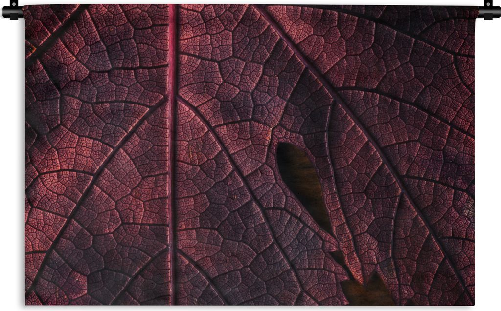 MuchoWow Wandteppich Wandbehang Abstrakt - Rot - Blätter - Pflanze 60x40 cm Tapisserie Dekoration Wandtuch - Wanddekorationen