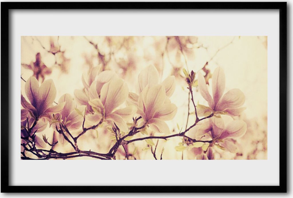 Bild 60x40 MDF-Rahmen Wandkunst Blumen Pflanzen Natur