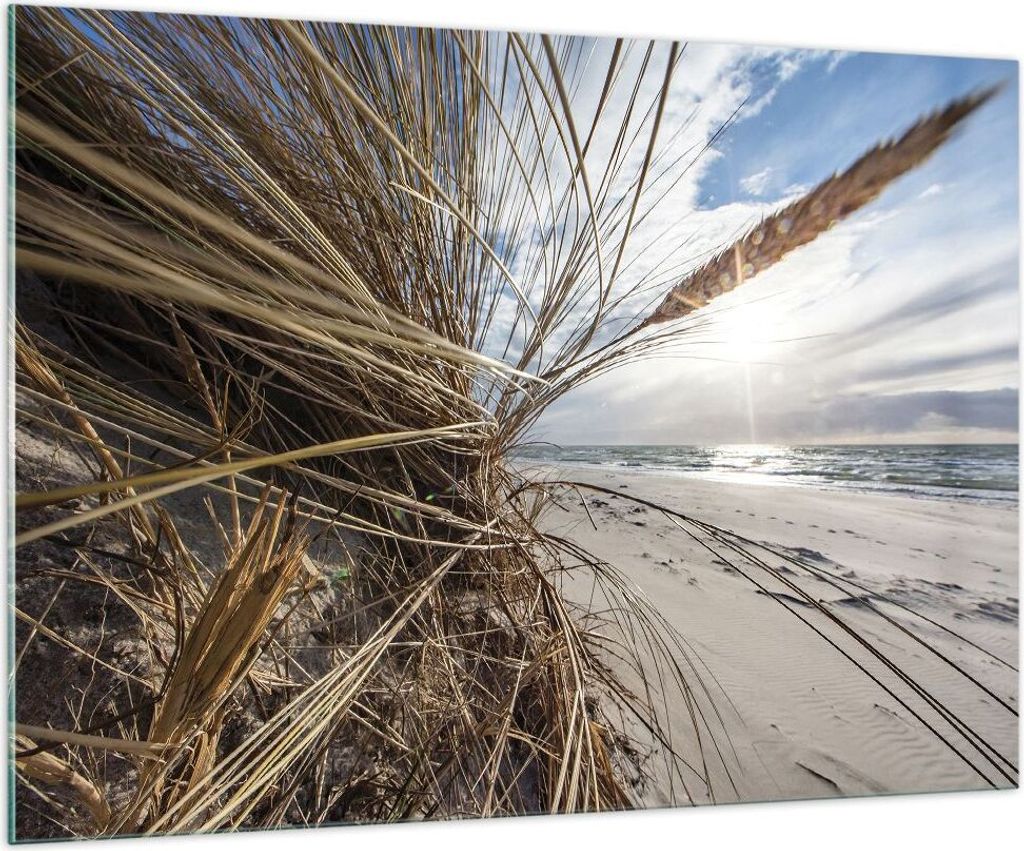 Bilder auf glas - Einteilig - Küste Perspektive Gras - 100x70cm - Glasbilder - Wandbilder - Bilder - zum Aufhängen bereit - Wanddekoration aus Gl...