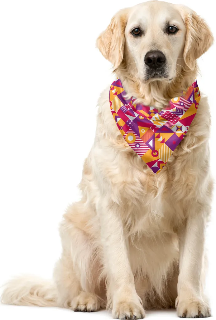 Foulard Cane ABAKUHAUS Mosaico 55x55: Look Urban Arancione Magenta