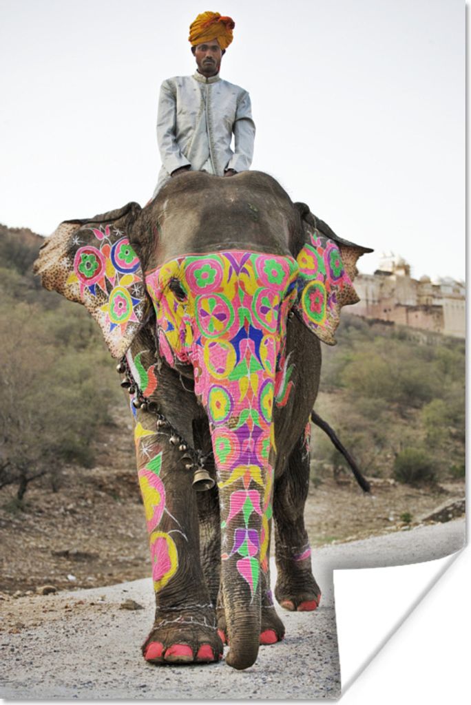 MuchoWow Poster Gefärbter Elefant in Indien 80x120 cm - Papierdruck