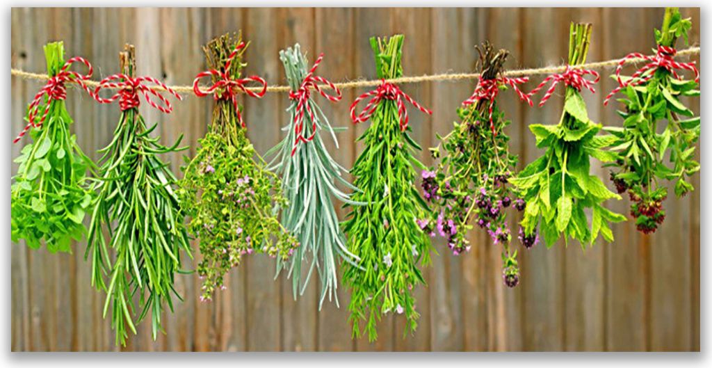 Tulup Leinwand-Bilder 140x70 Wandbild Canvas Kunstdruck Blumen Pflanzen