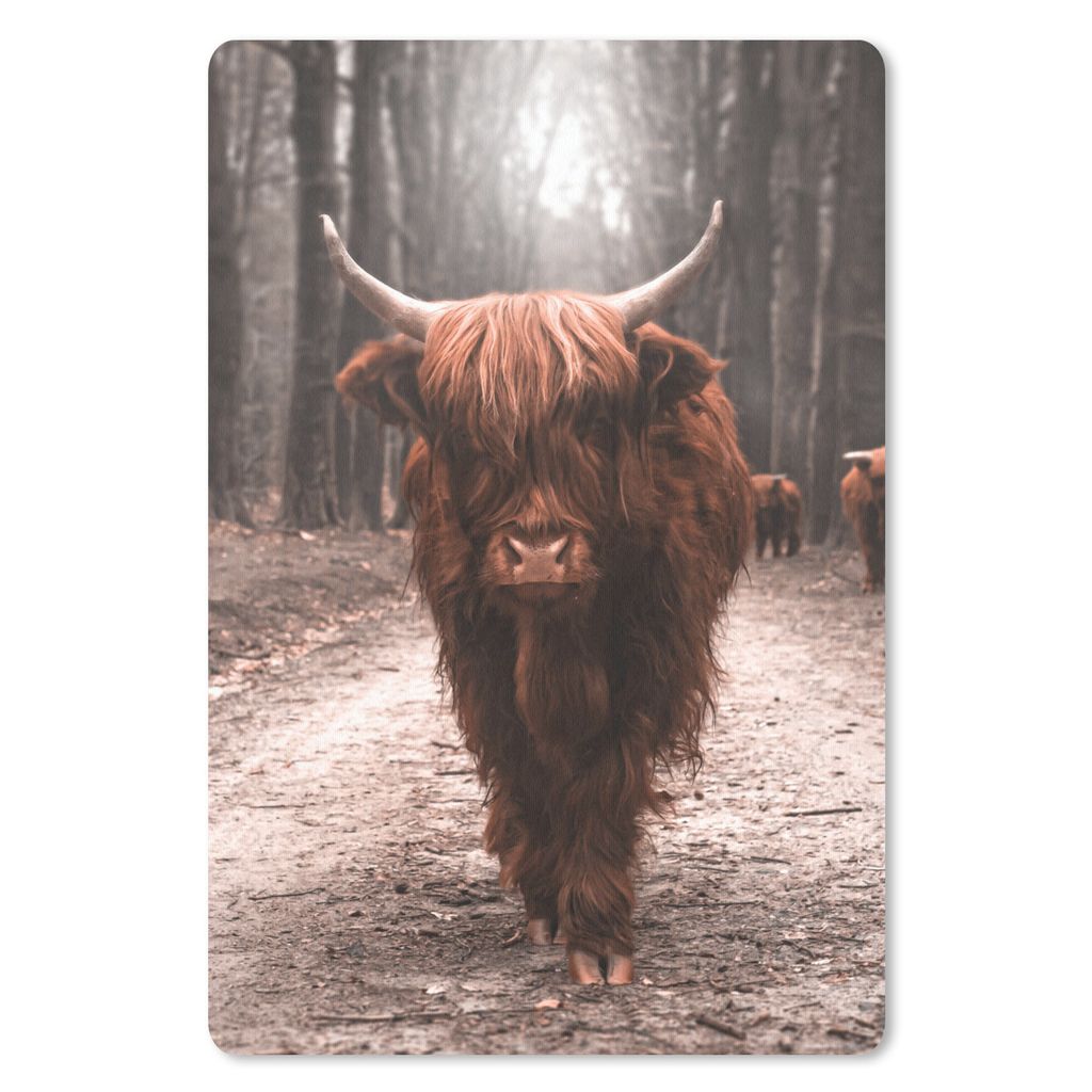 MuchoWow Mauspad Mousepad Schottischer Highlander - Tier - Nahaufnahme 40x60 cm - Mousepads - Maus Mat - Pad - Mausunterlage - Schreibtisch Acces...