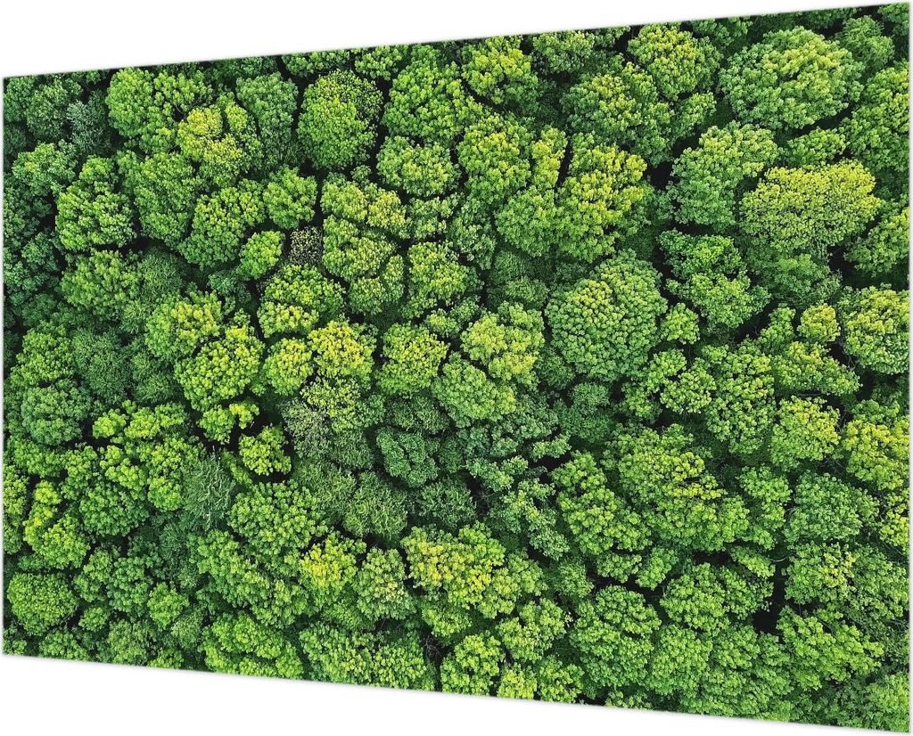 Wandtapete - Dekorative Tapete für Wohnzimmer - Tapetenfolie für Wanddekoration - 152x104 cm - Waldpanorama