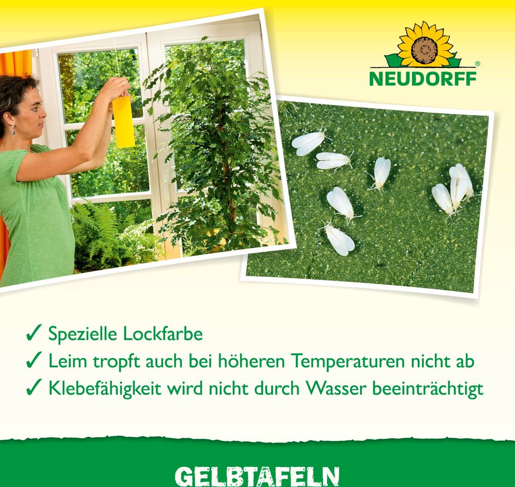 Neudorff Gelbtafeln (kleinformatig) 21 Stück Produktbild 5