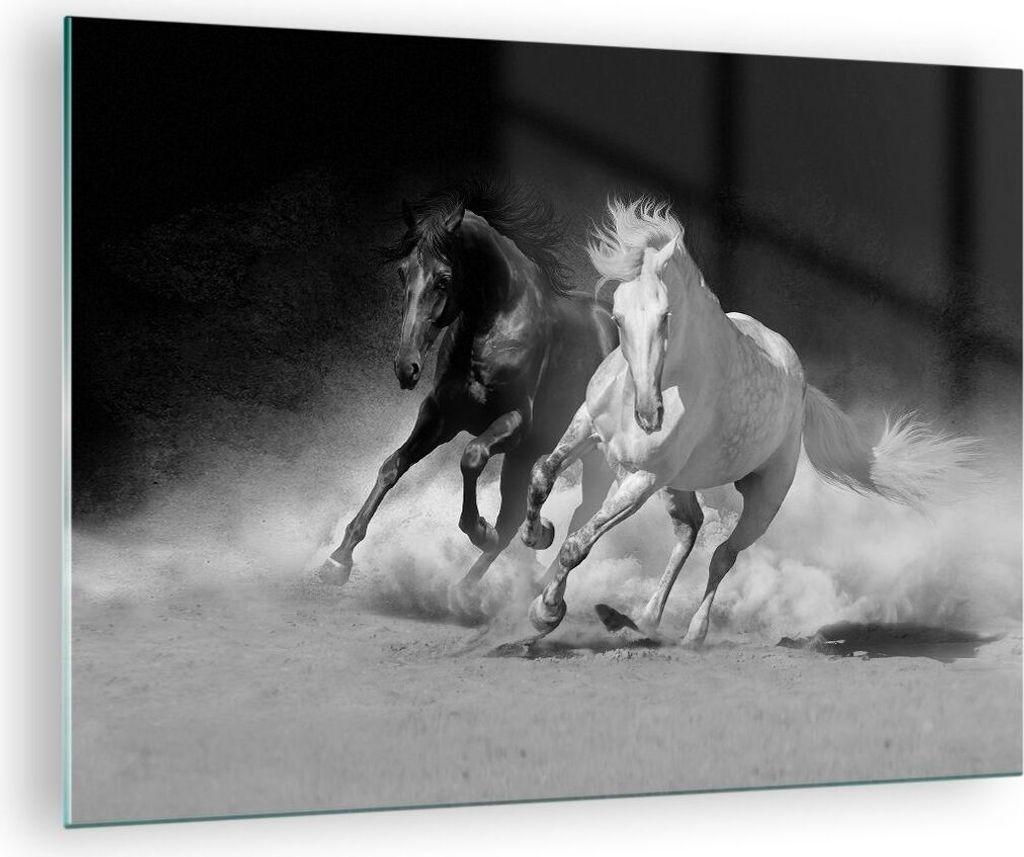 Bilder auf glas - Einteilig - Andalusier Pferde Galopp - 70x50cm - Glasbilder - Wandbilder - Bilder - zum Aufhängen bereit - Wanddekoration aus Gl...