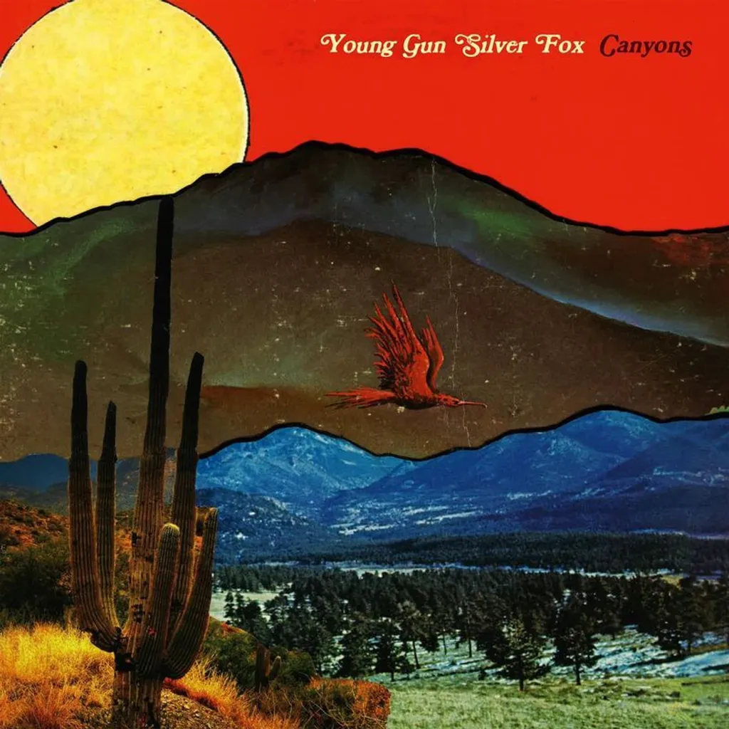 Canyons Young Gun Silver Fox Vinyle Pop Son West Coast Haute Fidélité