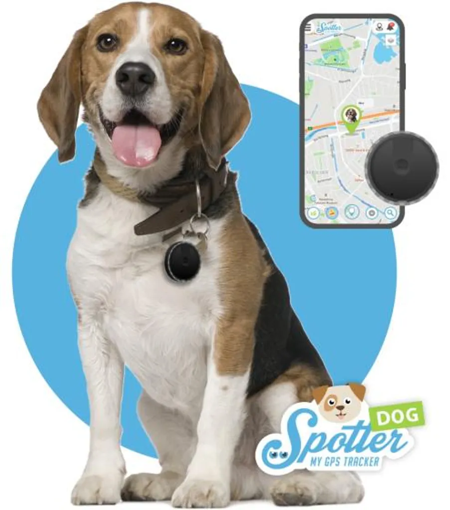 Pet Spotter Mini: Il GPS per Cani Smart Senza Abbonamento Mensile